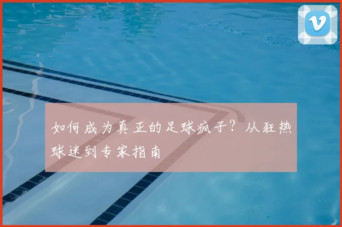 如何成为真正的足球疯子？从狂热球迷到专家指南